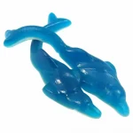 Kingsway Giant Dolphins 3kg