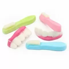Fini Toothbrush & Dentures 2kg